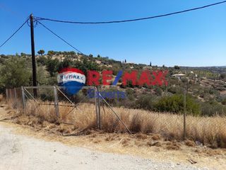 Αγροτεμάχια 9.558 τ.μ. για πώληση, Αργολίδα, Κρανίδι-thumb-11