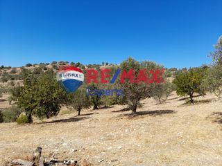 Αγροτεμάχια 9.558 τ.μ. για πώληση, Αργολίδα, Κρανίδι-thumb-6