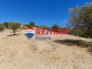 Αγροτεμάχια 9.558 τ.μ. για πώληση, Αργολίδα, Κρανίδι-thumb-4
