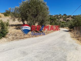 Αγροτεμάχια 9.558 τ.μ. για πώληση, Αργολίδα, Κρανίδι-thumb-8