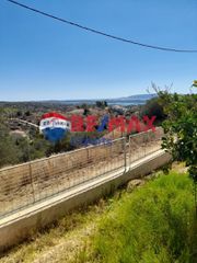 Αγροτεμάχια 9.558 τ.μ. για πώληση, Αργολίδα, Κρανίδι-thumb-3