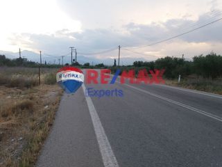 Οικόπεδο 3.624 τ.μ. για πώληση