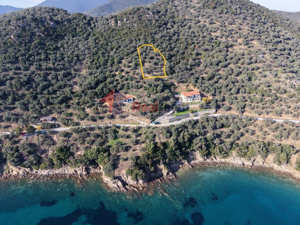 Αγροτεμάχια 1.621 τ.μ. πρός πώληση, Μαγνησία, Πτελεός