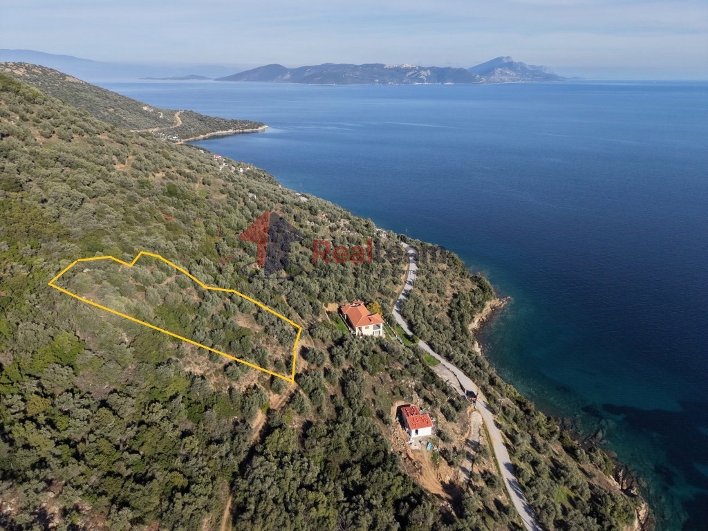 Αγροτεμάχια 1.621 τ.μ. πρός πώληση, Μαγνησία, Πτελεός