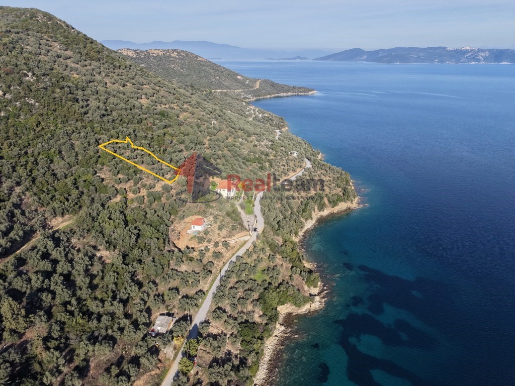 Αγροτεμάχια 1.621 τ.μ. πρός πώληση, Μαγνησία, Πτελεός