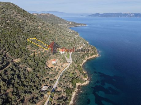 Αγροτεμάχια 1.621 τ.μ. πρός πώληση