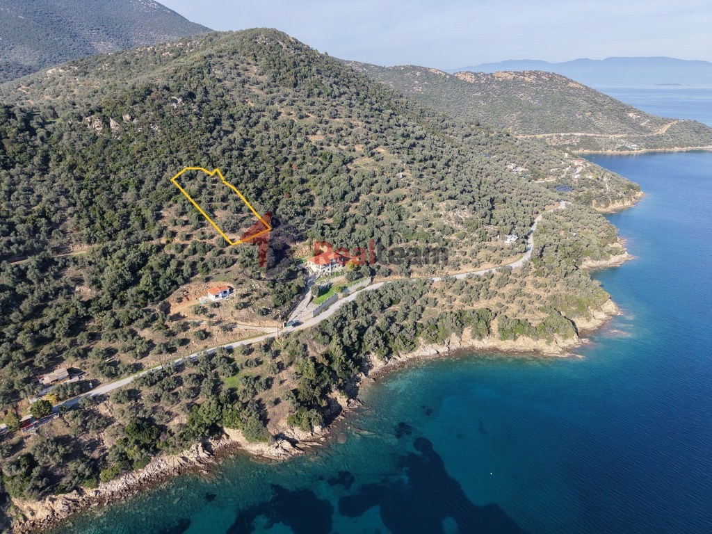 Αγροτεμάχια 1.621 τ.μ. πρός πώληση, Μαγνησία, Πτελεός