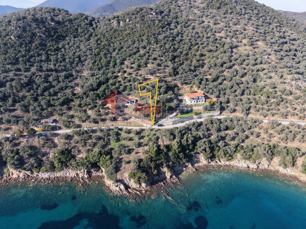 Αγροτεμάχια 466 τ.μ. πρός πώληση, Μαγνησία, Πτελεός