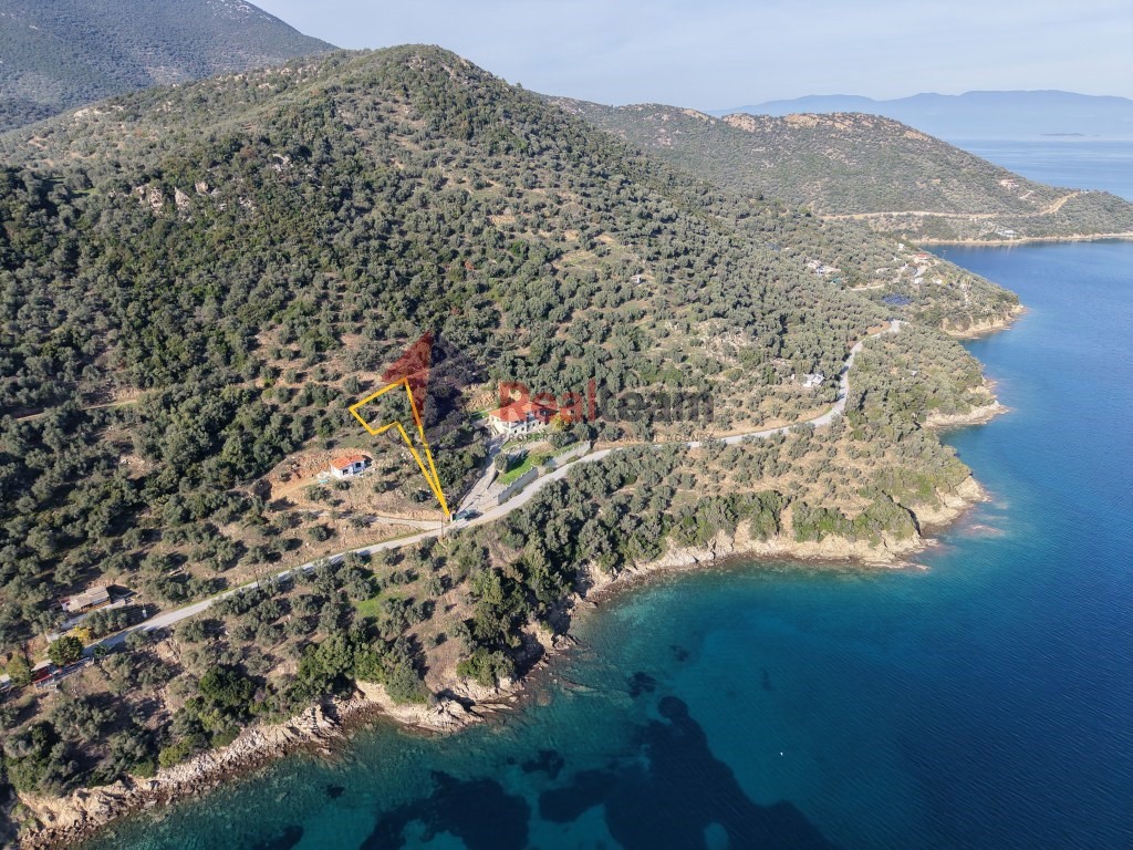 Αγροτεμάχια 466 τ.μ. πρός πώληση, Μαγνησία, Πτελεός