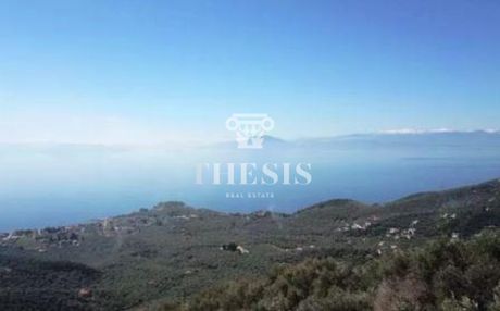 Οικόπεδο 3.864 τ.μ. προς πώληση