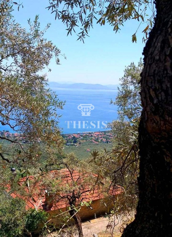 Οικόπεδο 3.864 τ.μ. πρός πώληση, Μαγνησία, Μηλιές