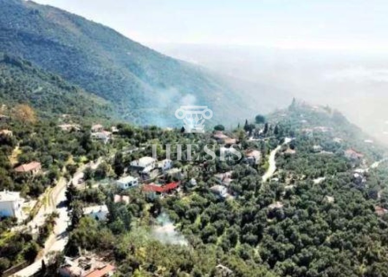 Οικόπεδο 3.864 τ.μ. πρός πώληση, Μαγνησία, Μηλιές