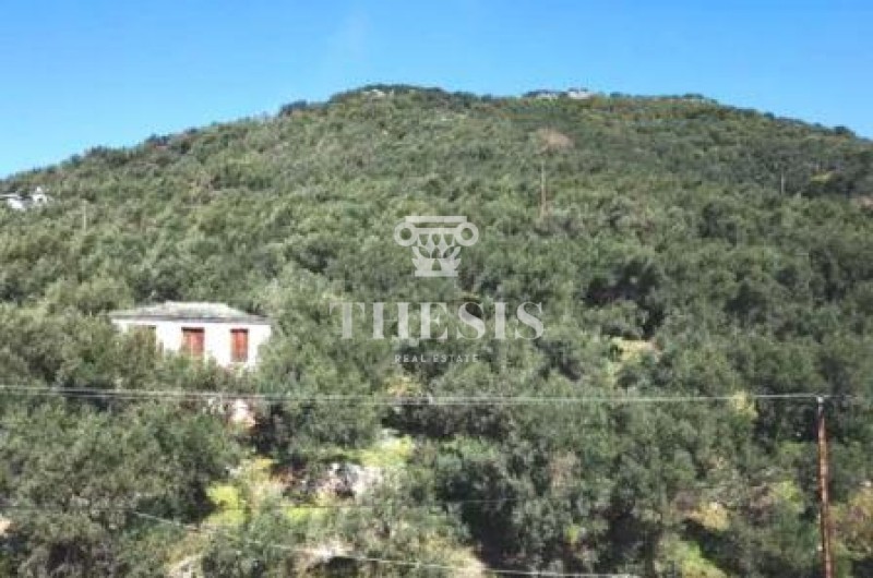 Οικόπεδο 3.864 τ.μ. πρός πώληση, Μαγνησία, Μηλιές