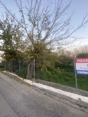 Οικόπεδο 1.432 τ.μ. για πώληση, Μεσσηνία, Ιθώμης-thumb-27