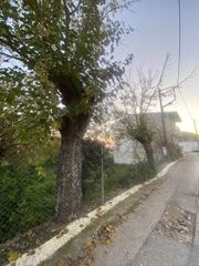 Οικόπεδο 1.432 τ.μ. για πώληση, Μεσσηνία, Ιθώμης-thumb-21