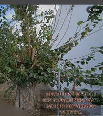 Οικόπεδο 1.432 τ.μ. για πώληση, Μεσσηνία, Ιθώμης-thumb-18