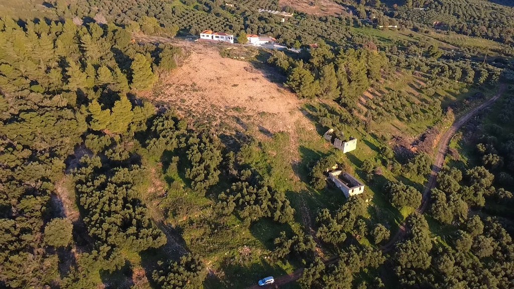Οικόπεδο 5.400 τ.μ. προς πώληση, Αυλώνα Μεσσηνίας
