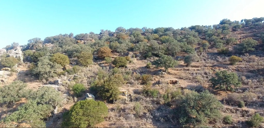 Αγροτεμάχια 21.403 τ.μ. προς πώληση, Κέα