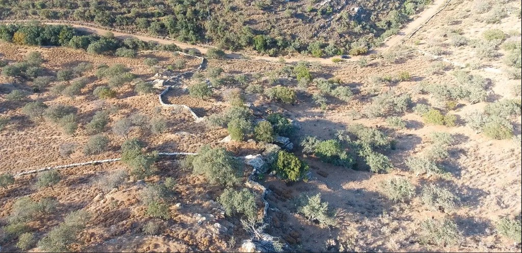 Αγροτεμάχια 21.403 τ.μ. προς πώληση, Κέα