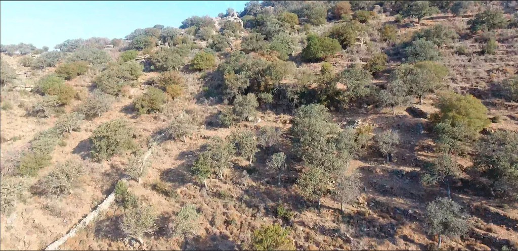 Αγροτεμάχια 21.403 τ.μ. προς πώληση, Κέα