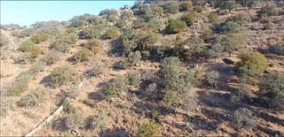 Αγροτεμάχια 21.403 τ.μ. προς πώληση, Κέα-thumb-3