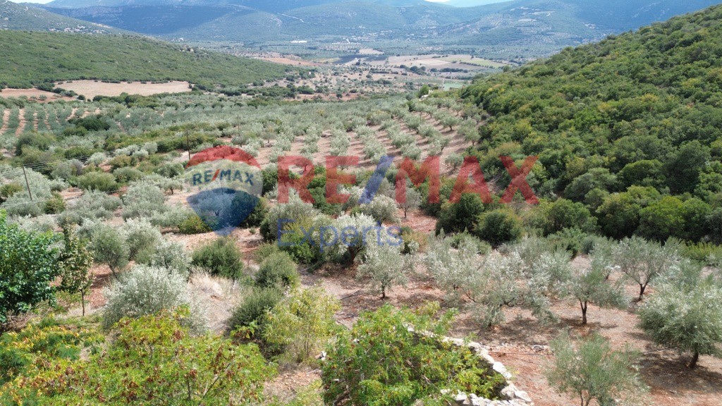 Μονοκατοικία 117 τ.μ. προς πώληση, Αγριλίτσα