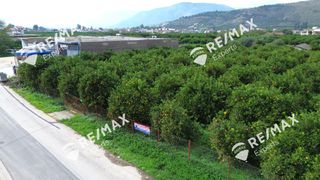 Οικόπεδο 3.716 τ.μ. για πώληση, Αργολίδα, Άργος-thumb-15