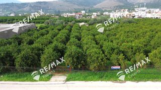 Οικόπεδο 3.716 τ.μ. για πώληση, Αργολίδα, Άργος-thumb-13