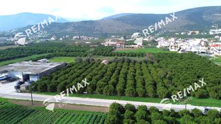 Οικόπεδο 3.716 τ.μ. για πώληση, Αργολίδα, Άργος-thumb-4