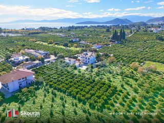 Οικόπεδο 4.842 τ.μ. για πώληση, Αργολίδα, Ασίνη-thumb-10
