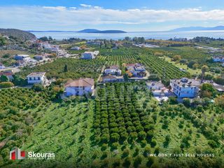 Οικόπεδο 4.842 τ.μ. για πώληση, Αργολίδα, Ασίνη-thumb-13