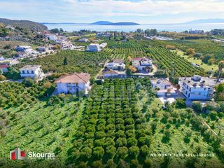 Οικόπεδο 4.842 τ.μ. για πώληση, Αργολίδα, Ασίνη-thumb-5