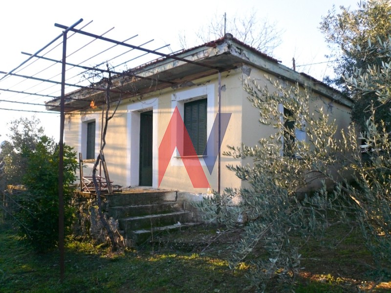 Μονοκατοικία 53 τ.μ. πρός πώληση, Ν. Λάρισας, Αρμένιο