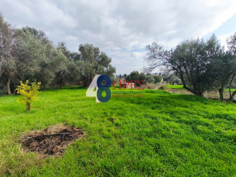 Οικόπεδο 2.049 τ.μ. προς πώληση, Καμποχώρια