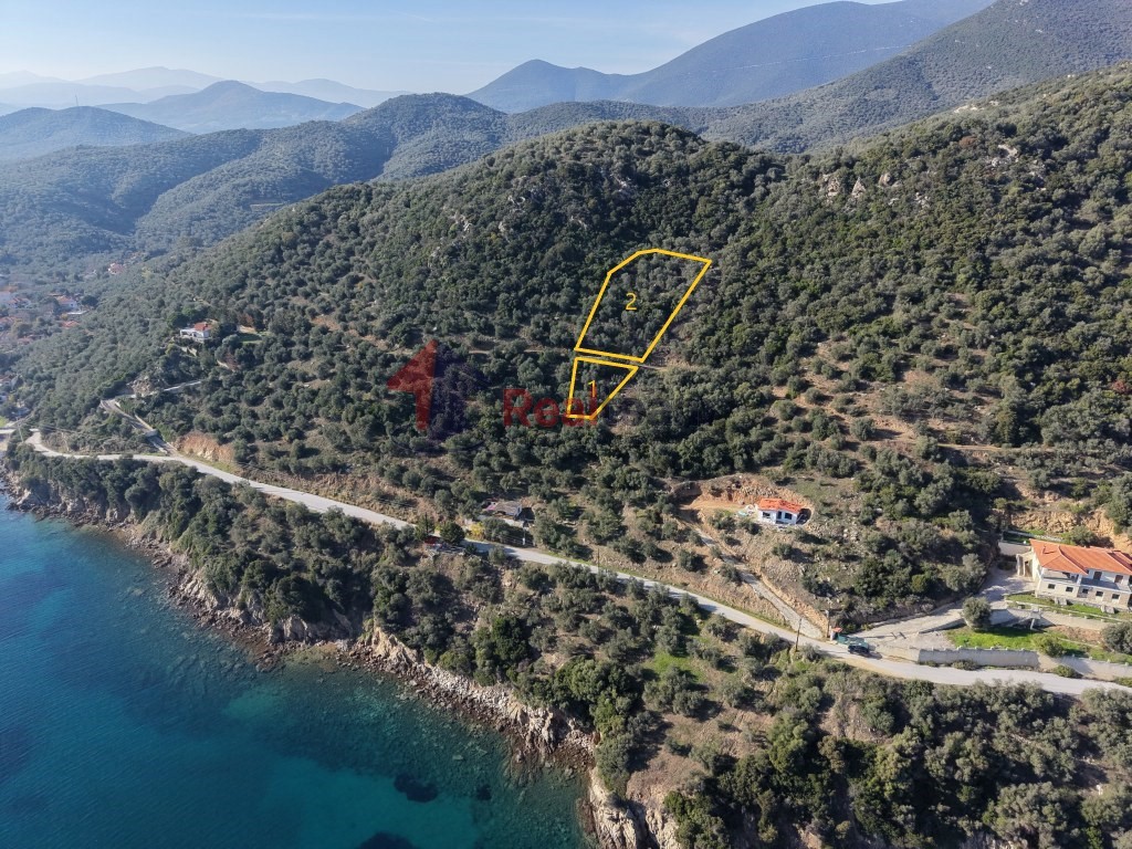 Αγροτεμάχια 2.344 τ.μ. πρός πώληση, Μαγνησία, Πτελεός