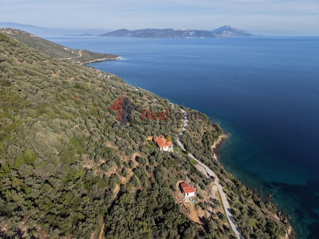 Αγροτεμάχια 2.344 τ.μ. πρός πώληση, Μαγνησία, Πτελεός