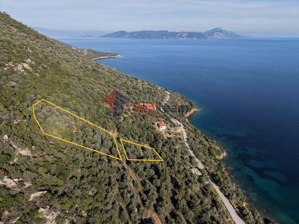 Αγροτεμάχια 2.344 τ.μ. πρός πώληση, Μαγνησία, Πτελεός