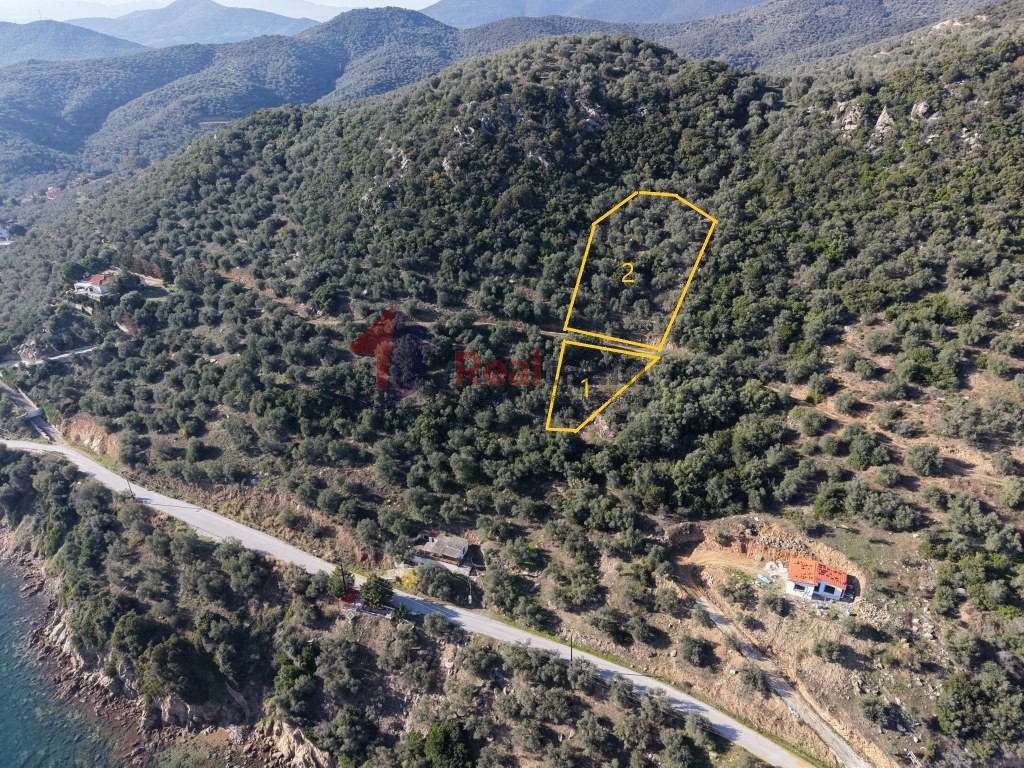 Αγροτεμάχια 2.344 τ.μ. πρός πώληση, Μαγνησία, Πτελεός