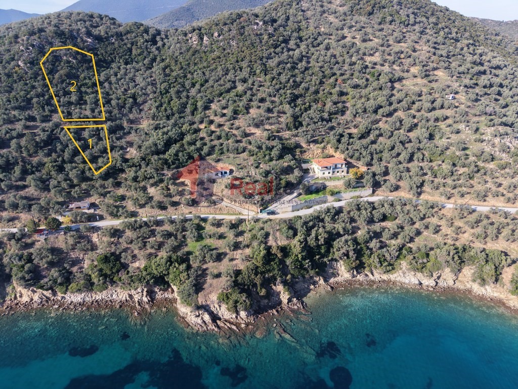 Αγροτεμάχια 2.344 τ.μ. πρός πώληση, Μαγνησία, Πτελεός