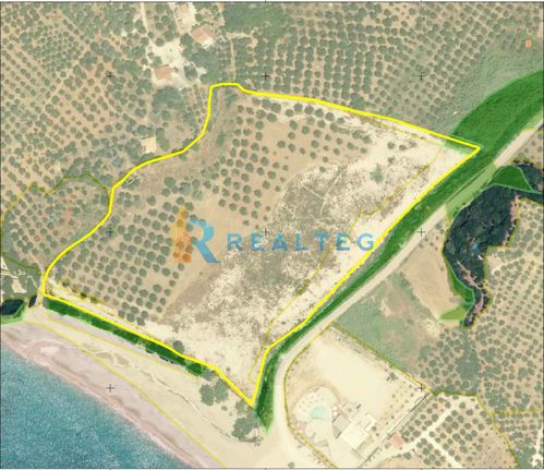 Οικόπεδο 43.446 τ.μ. για πώληση, Μεσσηνία, Γαργαλιάνοι