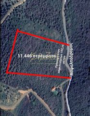 Αγροτεμάχια 11.446 τ.μ. για πώληση