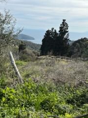 Αγροτεμάχια 3.000 τ.μ. για πώληση