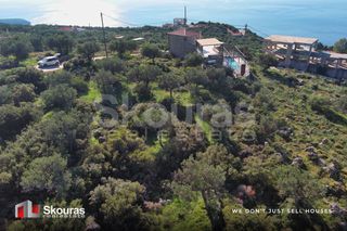 Οικόπεδο 305 τ.μ. προς πώληση, Λεύκτρος-thumb-21