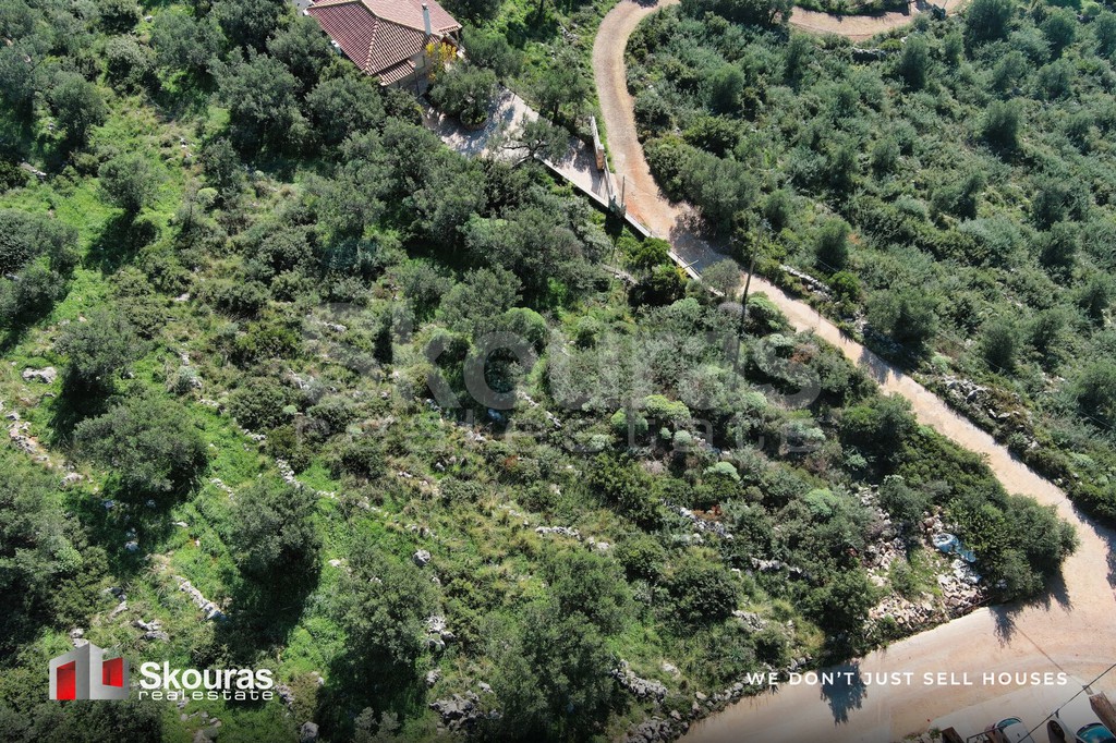 Οικόπεδο 305 τ.μ. προς πώληση, Λεύκτρος