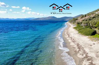 Μονοκατοικία 300 τ.μ. για πώληση, Εύβοια, Στύρα-thumb-14