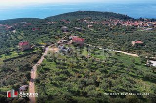 Οικόπεδο 289 τ.μ. για πώληση, Μεσσηνία, Λεύκτρος-thumb-11