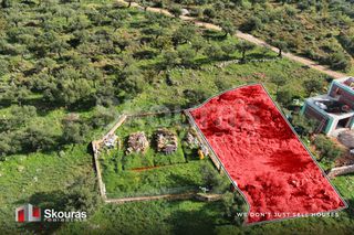 Οικόπεδο 289 τ.μ. για πώληση, Μεσσηνία, Λεύκτρος-thumb-1