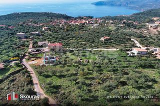 Οικόπεδο 289 τ.μ. για πώληση, Μεσσηνία, Λεύκτρος-thumb-10