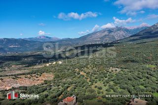 Οικόπεδο 289 τ.μ. για πώληση, Μεσσηνία, Λεύκτρος-thumb-5