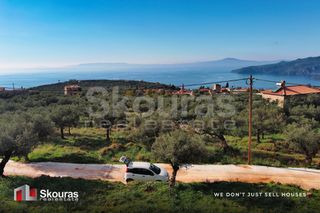 Οικόπεδο 289 τ.μ. για πώληση, Μεσσηνία, Λεύκτρος-thumb-18